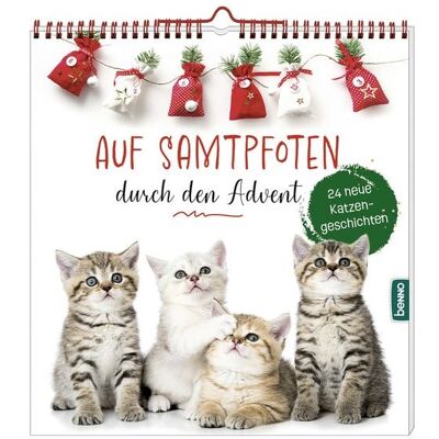 St. Benno Auf Samtpfoten durch den Advent St. Benno Auf Samtpfoten durch den Advent