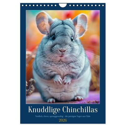Knuddlige Chinchillas (Wandkalender 2026 DIN A4 hoch), CALVENDO Monatskalender Knuddlige Chinchillas (Wandkalender 2026 DIN A4 hoch), CALVENDO Monatskalender