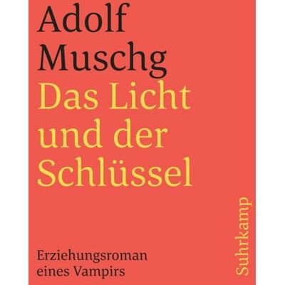 Suhrkamp Das Licht und der Schlüssel Suhrkamp Das Licht und der Schlüssel
