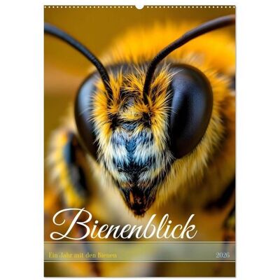 Bienenblick – Ein Jahr mit den Bienen (Wandkalender 2026 DIN A2 hoch), CALVENDO Monatskalender Bienenblick – Ein Jahr mit den Bienen (Wandkalender 2026 DIN A2 hoch), CALVENDO Monatskalender