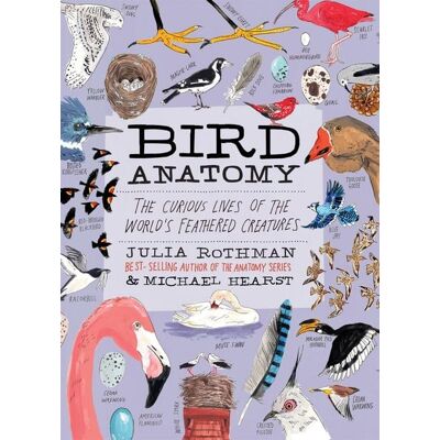 Workman Bird Anatomy Workman Bird Anatomy