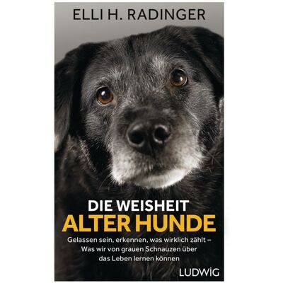 Ludwig Die Weisheit alter Hunde Ludwig Die Weisheit alter Hunde