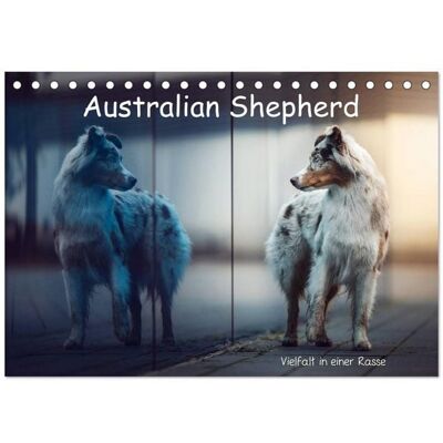 Australian Shepherd - Vielfalt in einer Rasse (Tischkalender 2026 DIN A5 quer), CALVENDO Monatskalender Australian Shepherd - Vielfalt in einer Rasse (Tischkalender 2026 DIN A5 quer), CALVENDO Monatskalender
