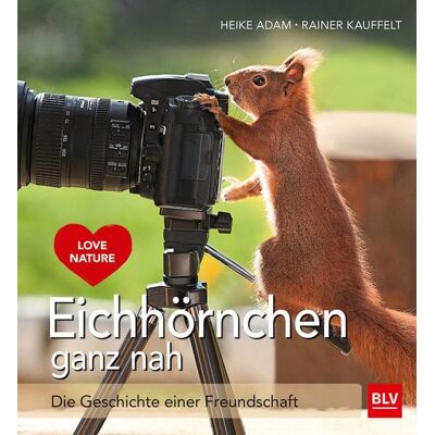 Blv Eichhörnchen ganz nah Blv Eichhörnchen ganz nah