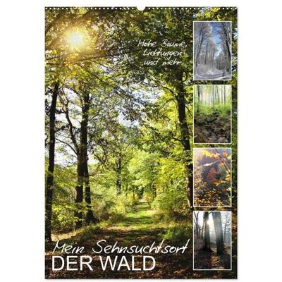 Mein Sehnsuchtsort, der Wald (Wandkalender 2026 DIN A2 hoch), CALVENDO Monatskalender Mein Sehnsuchtsort, der Wald (Wandkalender 2026 DIN A2 hoch), CALVENDO Monatskalender