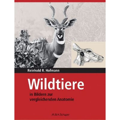 Philatelie Verlag Wildtiere in Bildern zur Vergleichenden Anatomie Philatelie Verlag Wildtiere in Bildern zur Vergleichenden Anatomie
