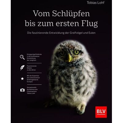Blv Vom Schlüpfen bis zum ersten Flug Blv Vom Schlüpfen bis zum ersten Flug