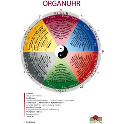 ShenDo Verlag Organuhr Schaubild DIN A3 ShenDo Verlag Organuhr Schaubild DIN A3