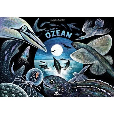 Magellan Eine Nacht im Ozean Magellan Eine Nacht im Ozean