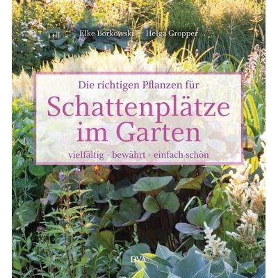 Dva Die richtigen Pflanzen für Schattenplätze im Garten Dva Die richtigen Pflanzen für Schattenplätze im Garten