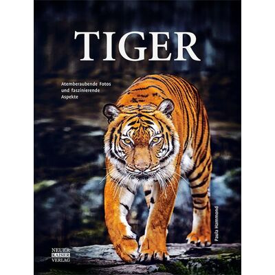 Neuer Kaiser Tiger Neuer Kaiser Tiger