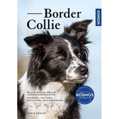Kosmos Border Collie Kosmos Border Collie