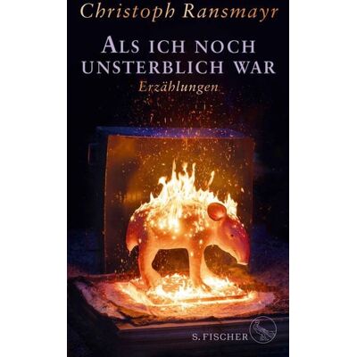 Fischer E-Books Als ich noch unsterblich war Fischer E-Books Als ich noch unsterblich war