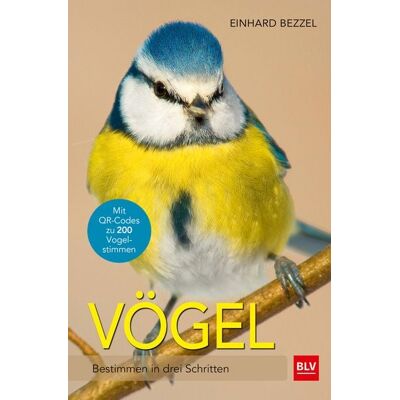 Blv Vögel Blv Vögel