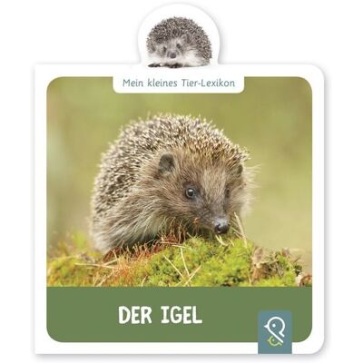 Klein & groß Verlag Der Igel Klein & groß Verlag Der Igel