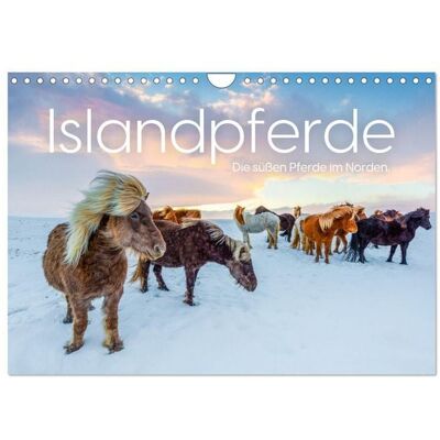 Islandpferde - Die süßen Pferde im Norden. (Wandkalender 2026 DIN A4 quer), CALVENDO Monatskalender Islandpferde - Die süßen Pferde im Norden. (Wandkalender 2026 DIN A4 quer), CALVENDO Monatskalender