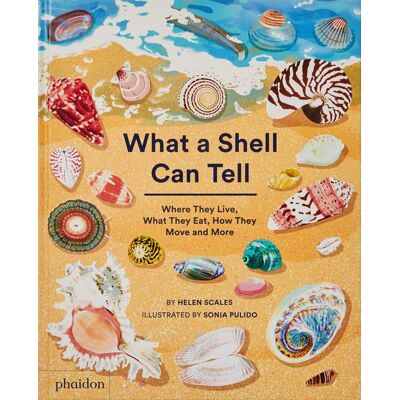 Phaidon What A Shell Can Tell Phaidon What A Shell Can Tell