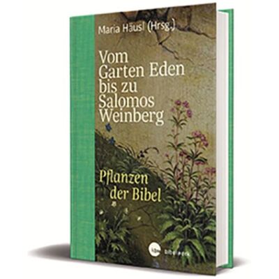 Katholisches Bibelwerk Vom Garten Eden bis zu Salomos Weinberg Katholisches Bibelwerk Vom Garten Eden bis zu Salomos Weinberg