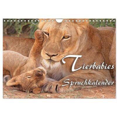 Tierbabies - Spruchkalender (Wandkalender 2026 DIN A4 quer), CALVENDO Monatskalender Tierbabies - Spruchkalender (Wandkalender 2026 DIN A4 quer), CALVENDO Monatskalender