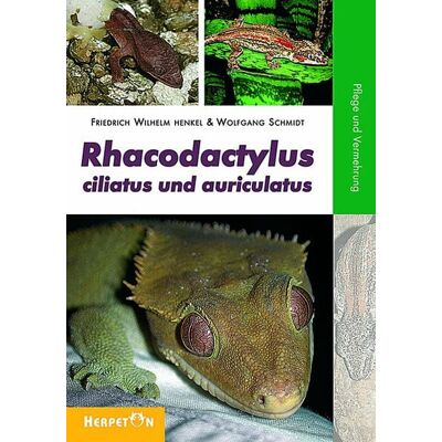 Herpeton Rhacodactylus ciliatus und auriculatus Herpeton Rhacodactylus ciliatus und auriculatus