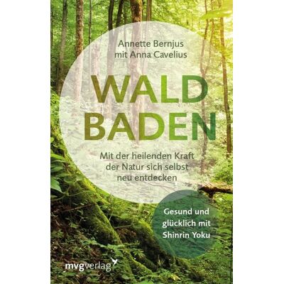 Mvg Waldbaden Mvg Waldbaden