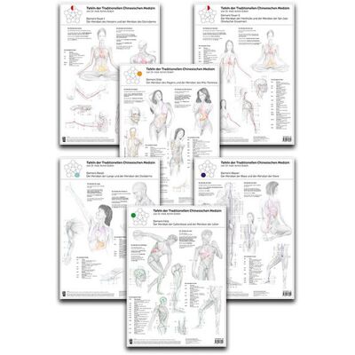 Bacopa Set von 6 Tafeln der Traditionellen Chinesischen Medizin Bacopa Set von 6 Tafeln der Traditionellen Chinesischen Medizin