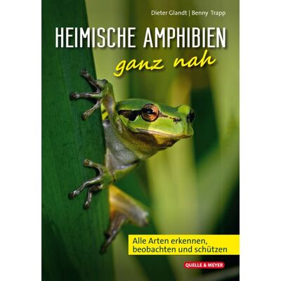 Quelle & Meyer Heimische Amphibien ganz nah Quelle & Meyer Heimische Amphibien ganz nah