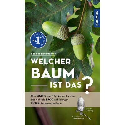 Kosmos Welcher Baum ist das? Kosmos Welcher Baum ist das?