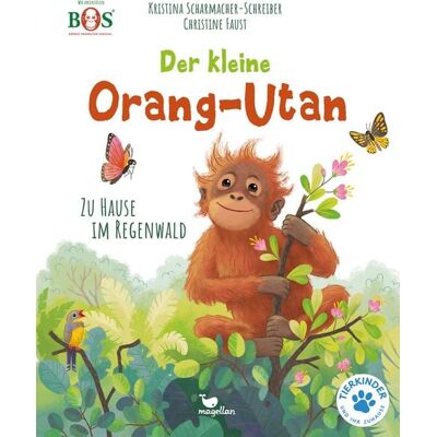 Magellan Der kleine Orang-Utan - Zu Hause im Regenwald Magellan Der kleine Orang-Utan - Zu Hause im Regenwald