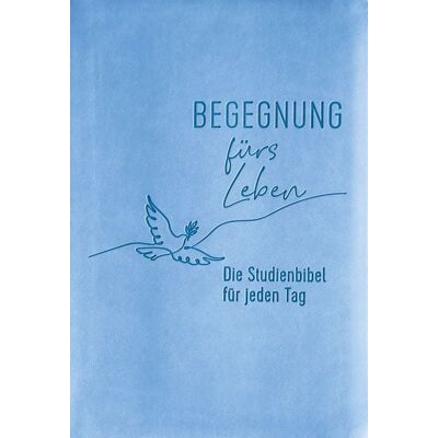 R.Brockhaus Begegnung fürs Leben, Kunstleder R.Brockhaus Begegnung fürs Leben, Kunstleder