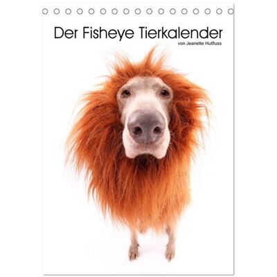 Der Fisheye Tiere Kalender (Tischkalender 2026 DIN A5 hoch), CALVENDO Monatskalender Der Fisheye Tiere Kalender (Tischkalender 2026 DIN A5 hoch), CALVENDO Monatskalender