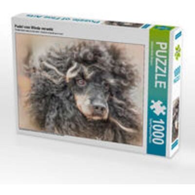 CALVENDO Puzzle Pudel vom Winde verweht 1000 Teile Lege-Größe 64x48cm Foto-Puzzle für glückliche Stunden CALVENDO Puzzle Pudel vom Winde verweht 1000 Teile Lege-Größe 64x48cm Foto-Puzzle für glückliche Stunden