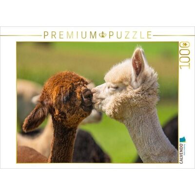CALVENDO Puzzle Alpakafohlen 1000 Teile Lege-Größe 64x48cm Foto-Puzzle für glückliche Stunden CALVENDO Puzzle Alpakafohlen 1000 Teile Lege-Größe 64x48cm Foto-Puzzle für glückliche Stunden
