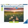 Puzzle Ravensburger Pusteblumen im Sonnenuntergang 500 Teile