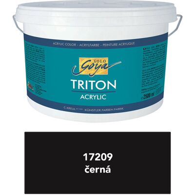 KREUL TRITON SOLO GOYA 2500 ml, schwarz KREUL TRITON SOLO GOYA 2500 ml, schwarz