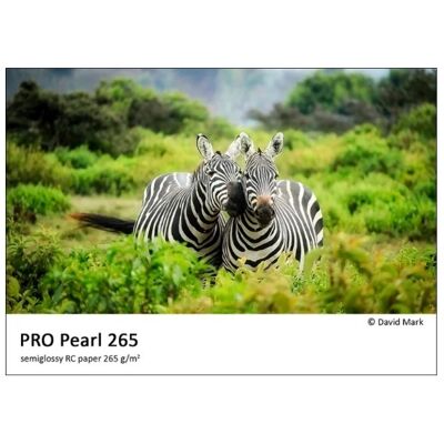 FOMEI PRO Pearl 265 13x18/250 FOMEI PRO Pearl 265 13x18/250