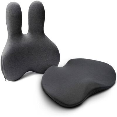 MOSH ERGO2 Set Sitzkissen B3K schwarz + Rückenstütze H1B schwarz/anthrazit MOSH ERGO2 Set Sitzkissen B3K schwarz + Rückenstütze H1B schwarz/anthrazit