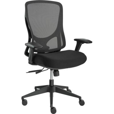 AlzaErgo Chair Oasis 1 schwarz AlzaErgo Chair Oasis 1 schwarz