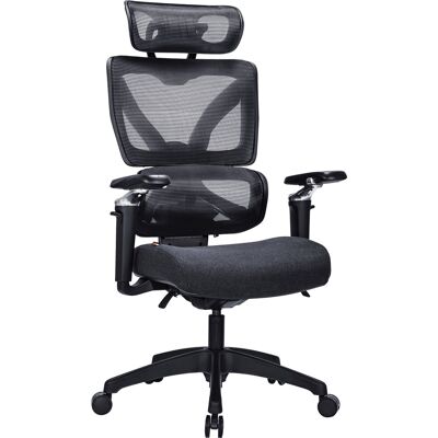 AlzaErgo Chair Delta 1 Plus schwarz AlzaErgo Chair Delta 1 Plus schwarz