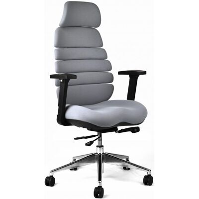 Mercury STAR Spine mit PDH grau Mercury STAR Spine mit PDH grau