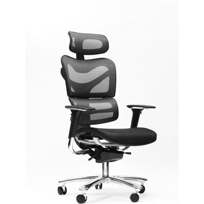 SPINERGO Manager grau SPINERGO Manager grau