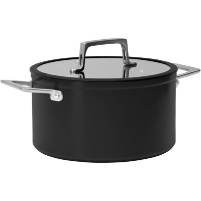 FABINI Topf Meda 4.0 Pro, 24 cm (5,5 l), schwarz mit Deckel FABINI Topf Meda 4.0 Pro, 24 cm (5,5 l), schwarz mit Deckel