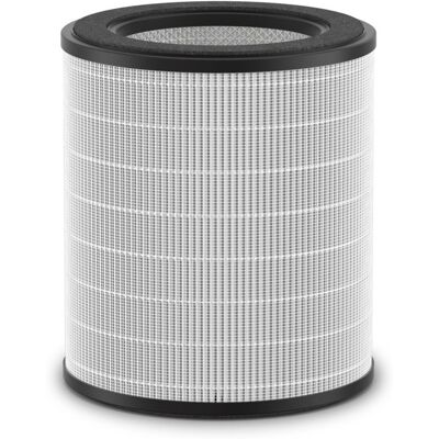 Rowenta XD6270F0 3-in-1-Filter für Luftreiniger PU22 Rowenta XD6270F0 3-in-1-Filter für Luftreiniger PU22