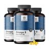 HealthyWorld® 3x Omega-3 1000 mg – aus Fischöl, zusammen 1095 Weichkapseln