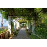 Papermoon Fototapete »Pergola Villa St Michele« bunt B/L: 4 m x 2,6 m B/L: 4 m x 2,6 m unisex