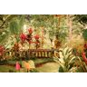 Papermoon Fototapete »Fantasie tropischer Garten«, Vliestapete, hochwertiger Digitaldruck, inklusive Kleister bunt B/L: 5,00 m x 2,80 m B/L: 5,00 m x 2,80 m unisex