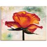 Artland Leinwandbild »Brillant«, Blumen, (1 St.) orange B/H: 60 cm x 45 cm B/H: 60 cm x 45 cm unisex