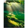 Artland Wandbild »Lichtkegel«, Wald, (1 St.) grün B/H: 60 cm x 80 cm B/H: 60 cm x 80 cm unisex