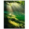 Artland Wandbild »Lichtkegel«, Wald, (1 St.) grün B/H: 90 cm x 120 cm B/H: 90 cm x 120 cm unisex