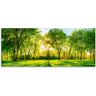 Artland Glasbild »Frühlingswärme II«, Wiesen & Bäume, (1 St.) grün B/H: 125 cm x 50 cm B/H: 125 cm x 50 cm unisex
